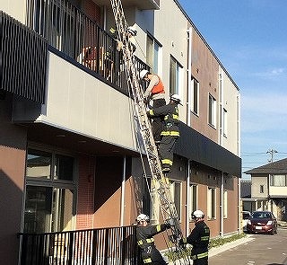 2016-11-18 14.20.28.jpg