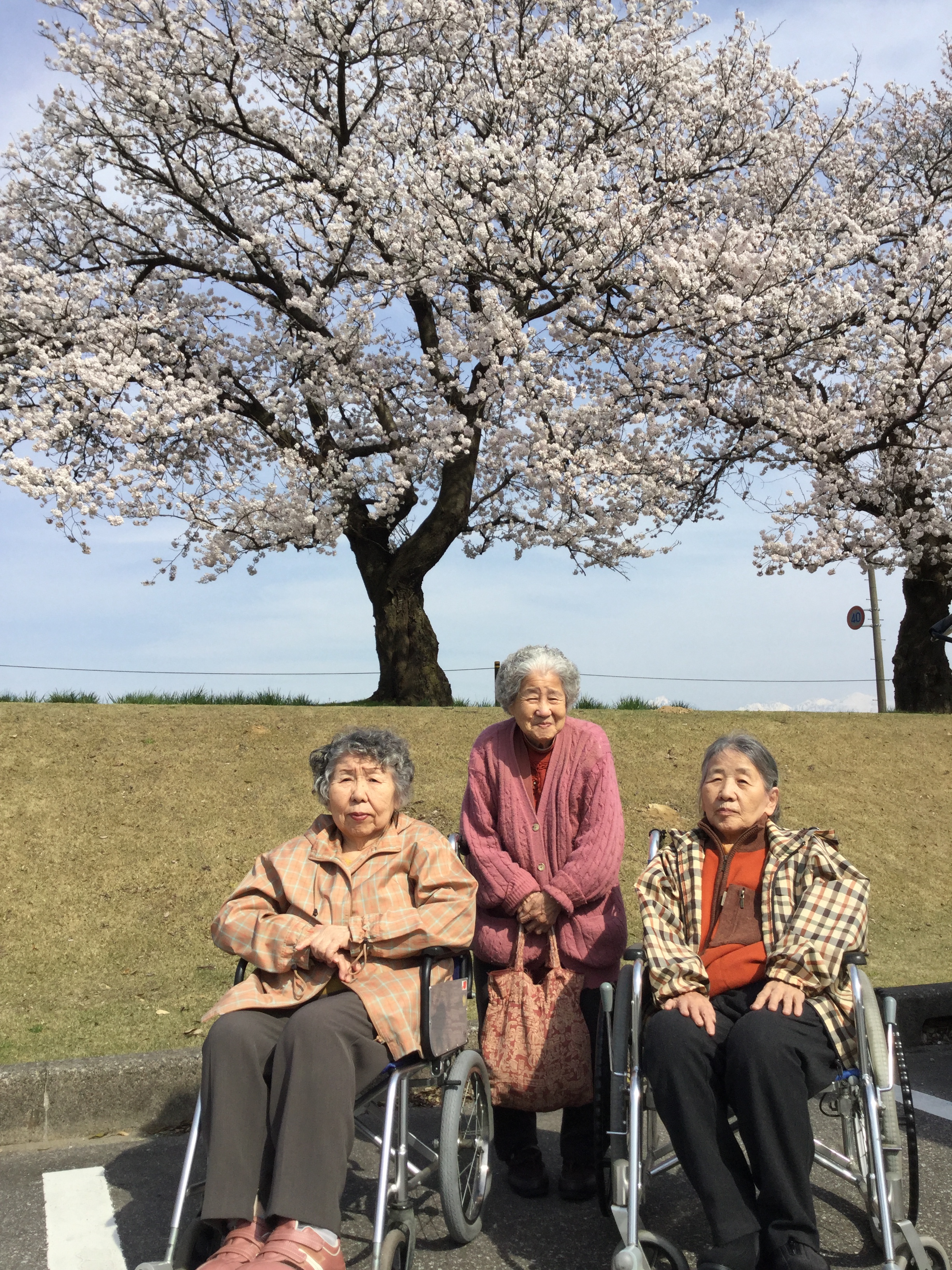 2017-04-10 14.29.09.jpg