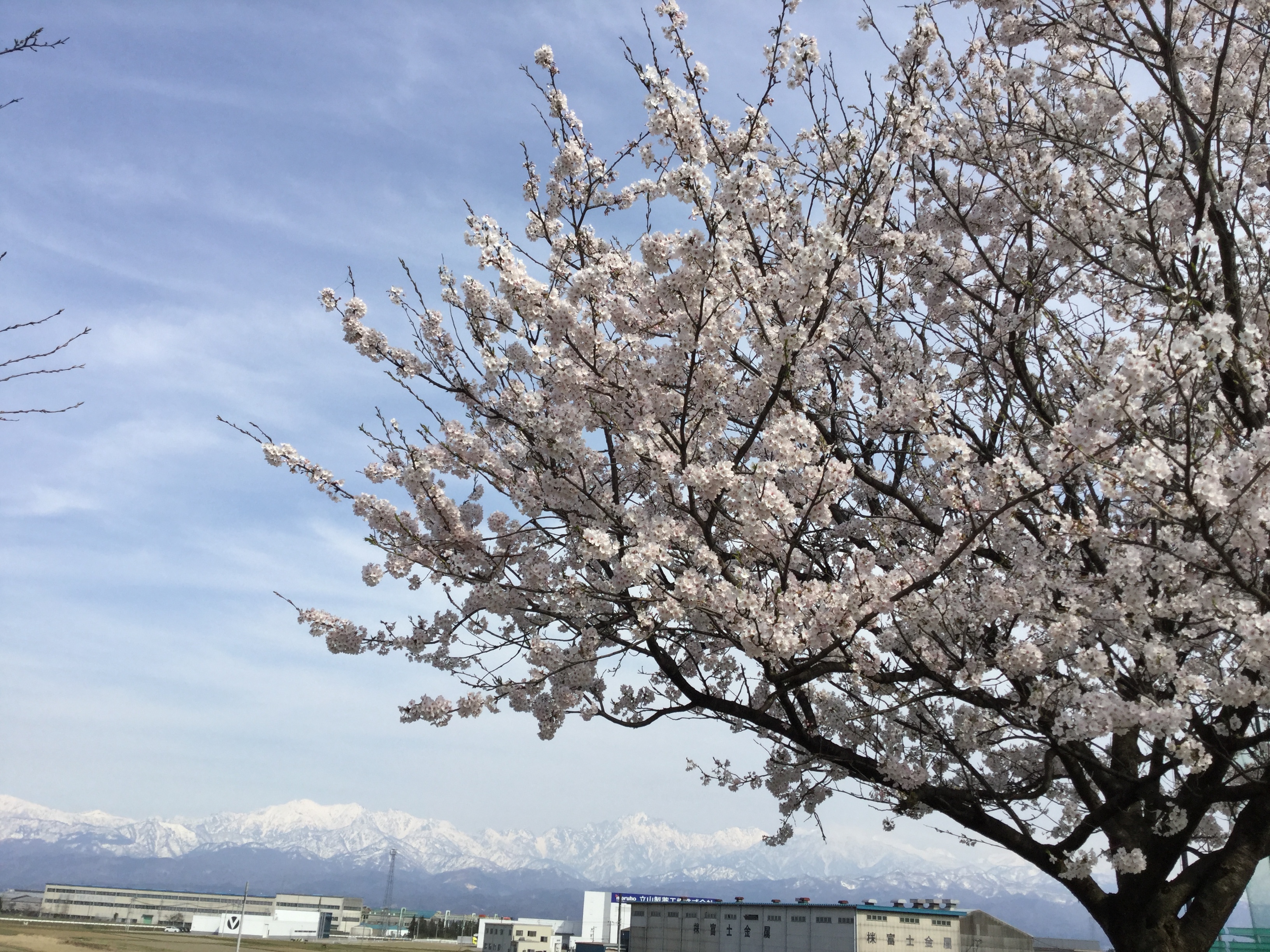 2017-04-10 14.43.43.jpg