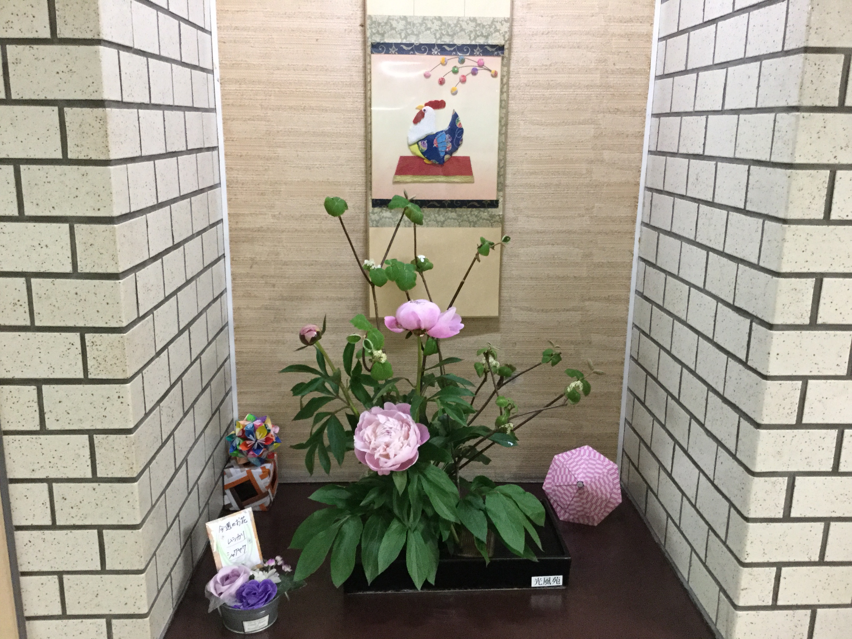 2017-05-11 19.26.13.jpg